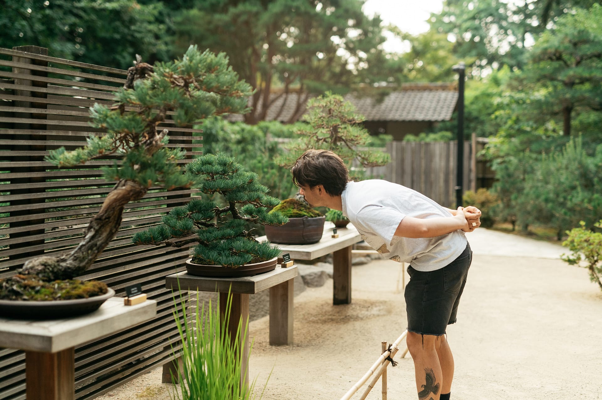 Ellie M. Hill Bonsai Terrace - Portland Japanese Garden