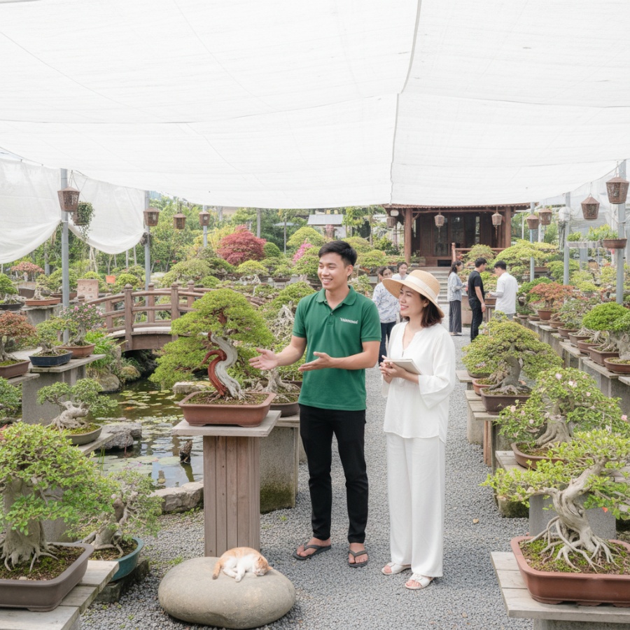 Khách hàng Tinh Mộc chăm sóc cây bonsai của mình