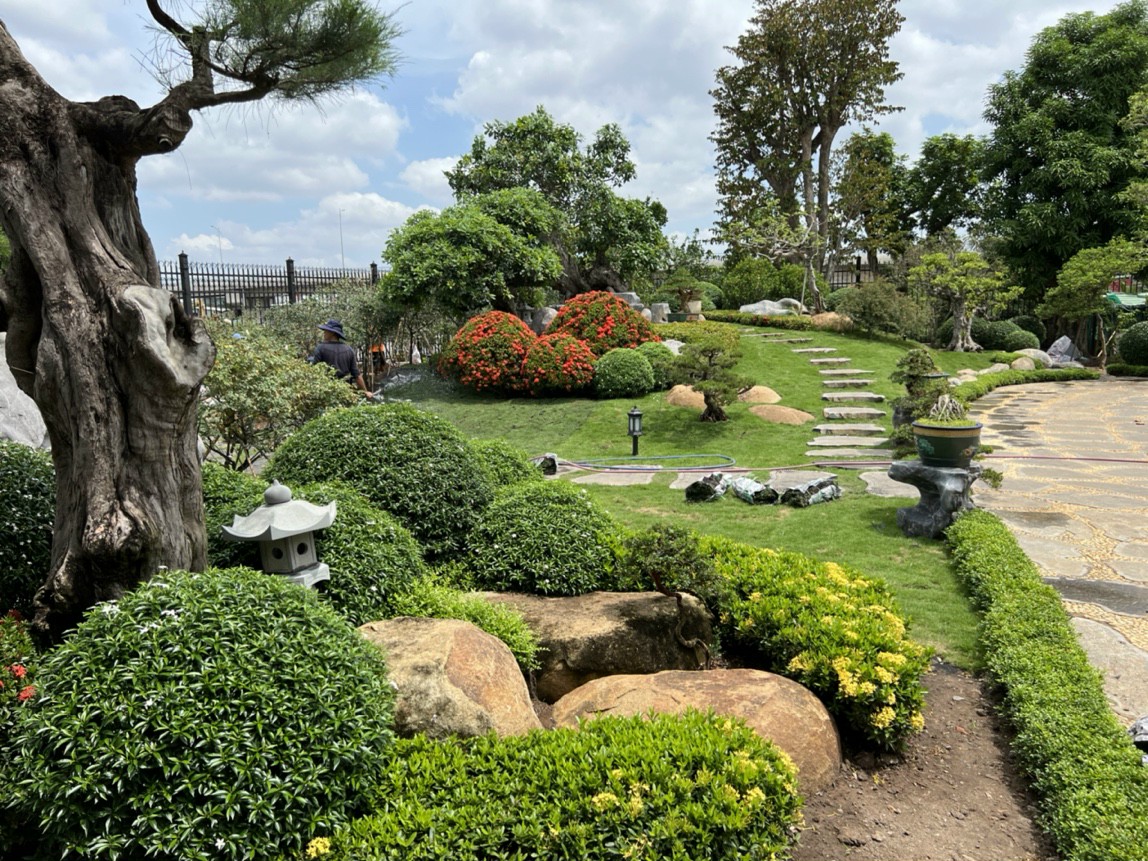 30+ mẫu tiểu cảnh sân vườn đẹp - Minh sơn Stone